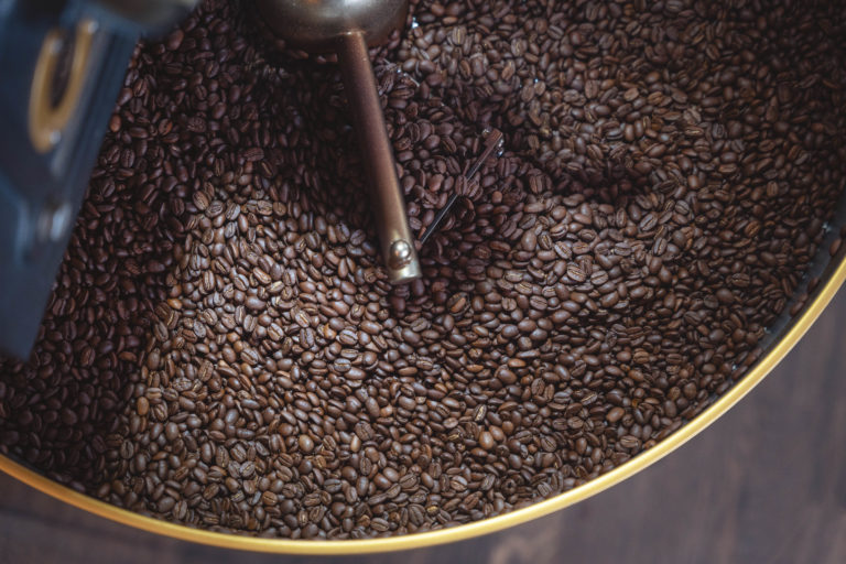 23-05 - moca-steintor-17