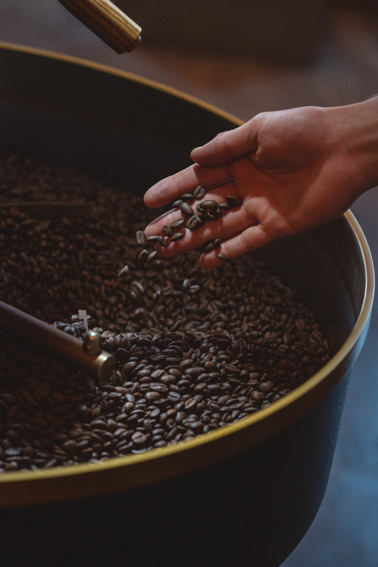 23-05 - moca-steintor-21