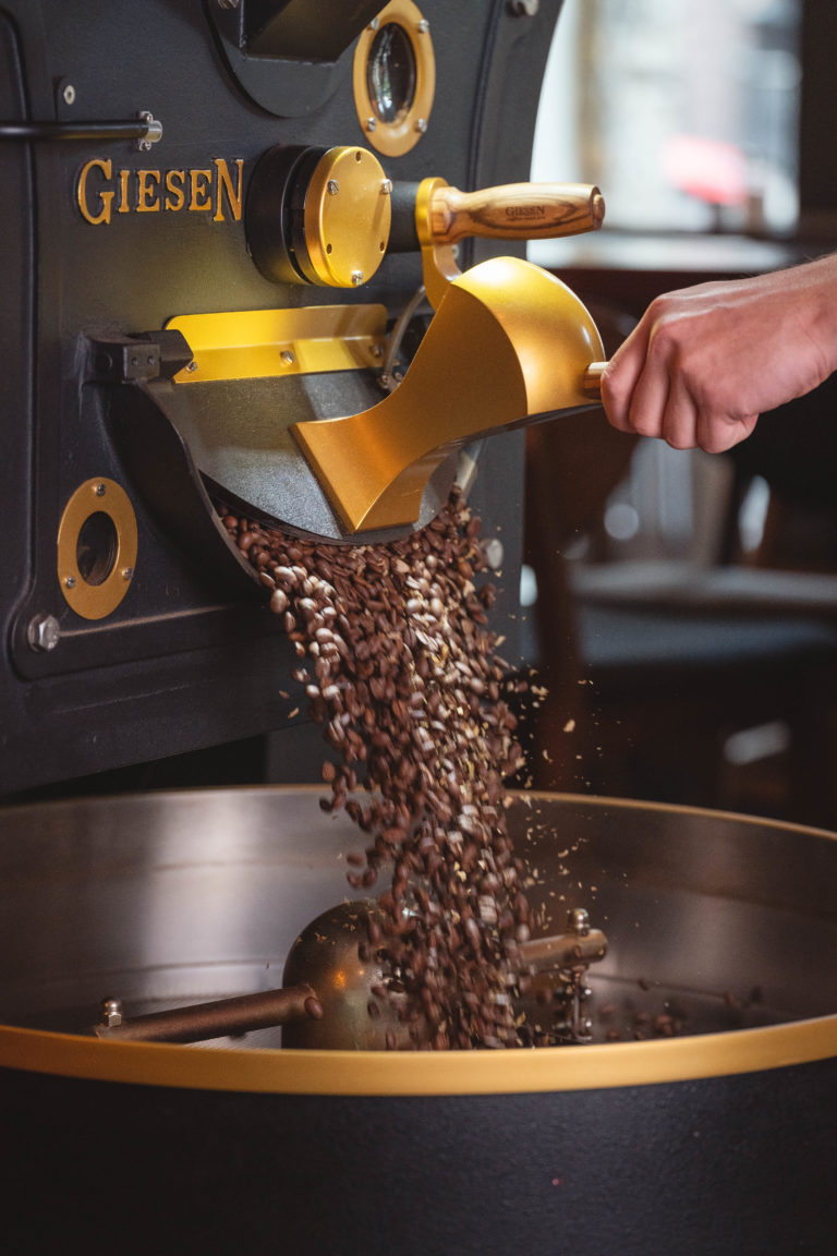 23-05 - moca-steintor-26